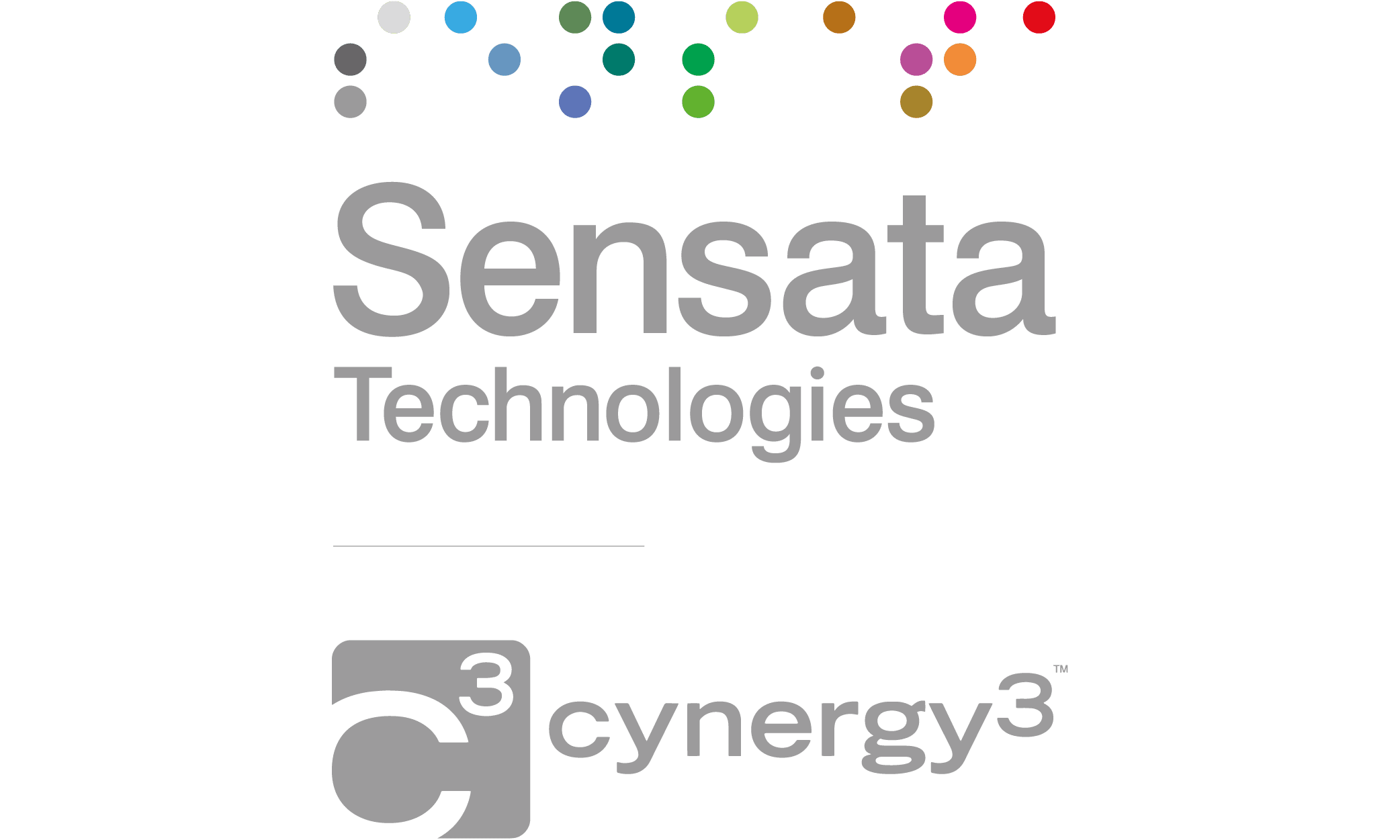 Sensata Technologies / Cynergy3 Firmenogo 1000 px von 600 px